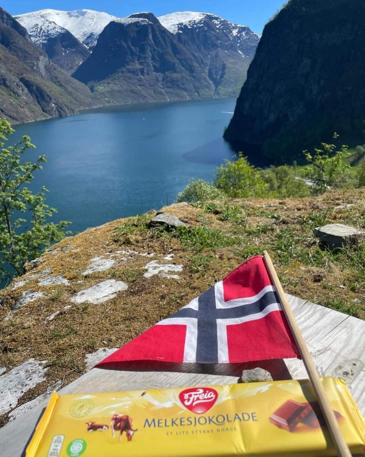 Undredal Fjord Apartments Dış mekan fotoğraf